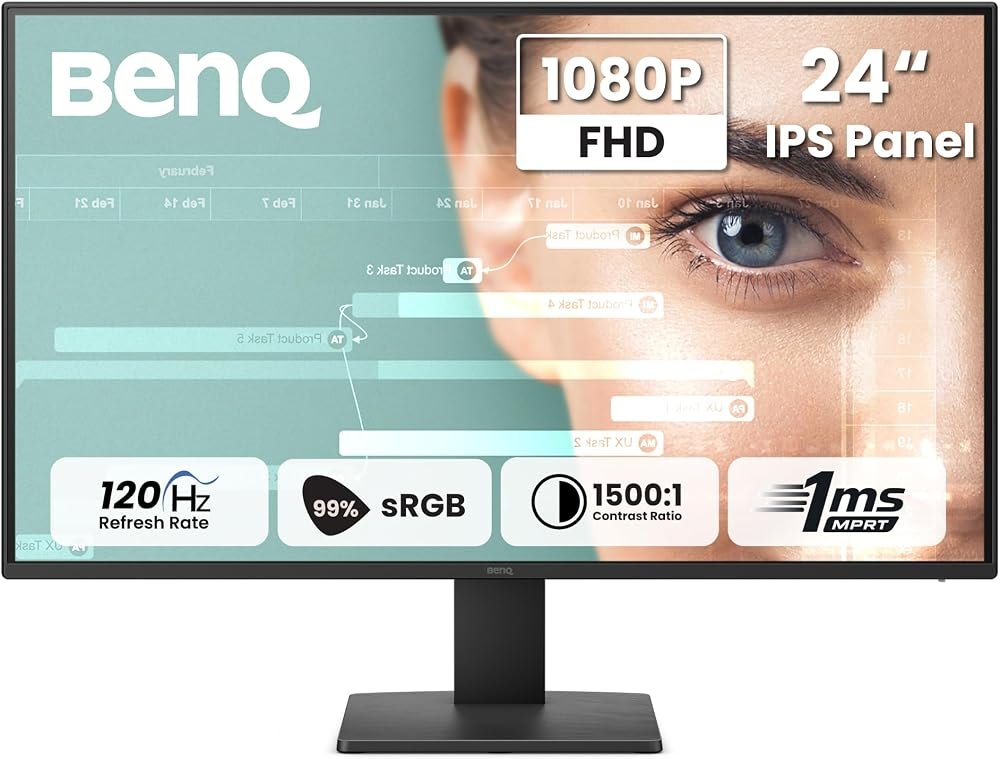 BenQ 24" LED Monitor