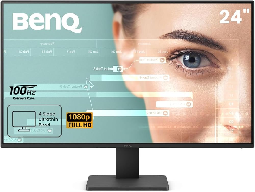 BenQ GW2491 24 Monitor