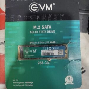 EVM 256GB M.2 SATA SSD – EVMM2/256GB